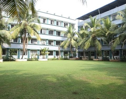 Lawn